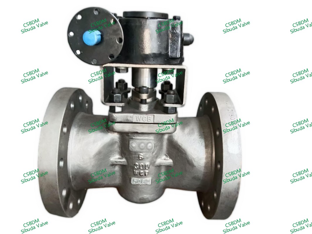 API6D Sleeved Plug Valves