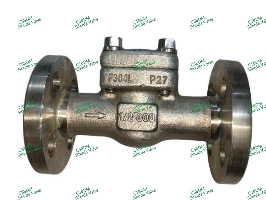 API602/BS5352 Check Valve