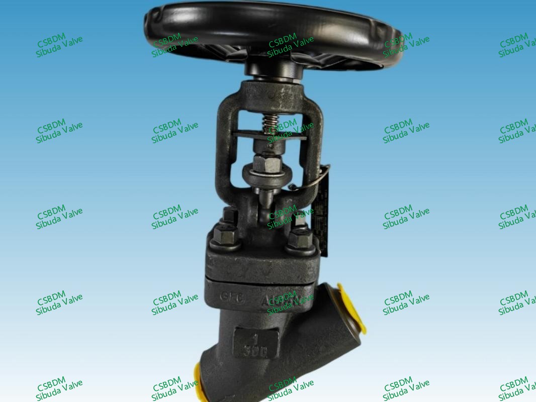 API602/BS5352 Globe Valves